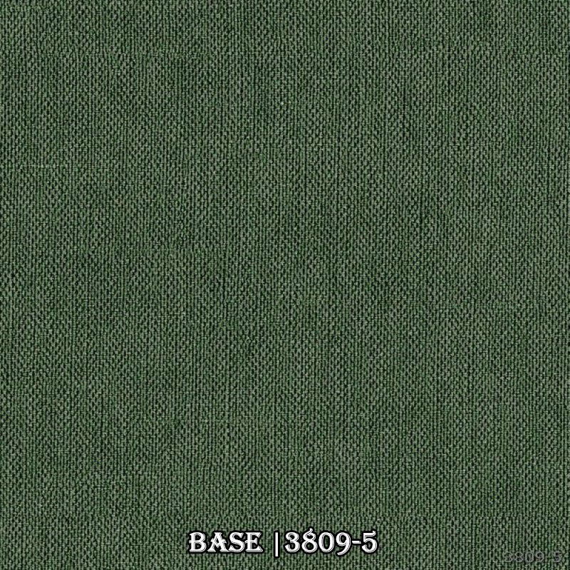 Mẫu giấy dán tường màu xanh rêu đậm, nét độc đáo mới, chắc chắn sẽ làm hài lòng những khách hàng khó tính nhất.